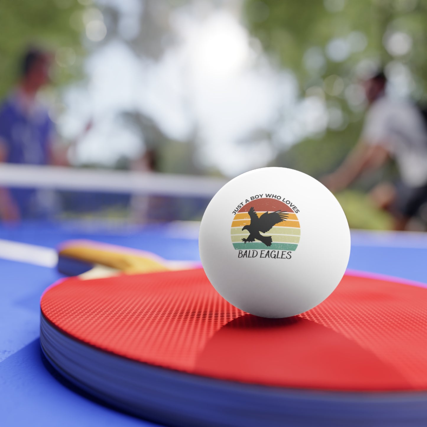 Just a Boy Who Loves Bald Eagles Ping Pong Balls, 6 pcs